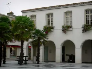 Les Sables-d'Olonne - Hôtel de ville et palmiers