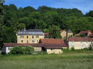 Saint-Amand-de-Coly - Las casas en el pueblo, de campo y los árboles