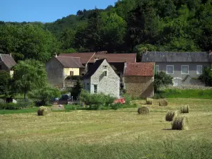 Saint-Amand-de-Coly - Casas de pueblo, fardos de heno en un campo y los árboles, en el Périgord negro