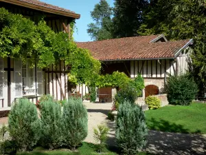 Saint-Amand-sur-Fion - Timber-framed house