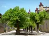 Saint-Antoine-l'Abbaye - Las fachadas y los árboles de limón en el Gran Atrio de la abadía