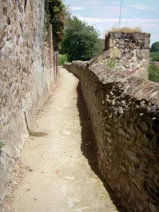 Saint-Benoît-du-Sault - Rampart walk (chemin des Groseilliers)