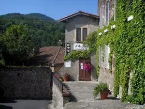 Saint-Bertrand-de-Comminges - Houses of the village and the Comminges hills