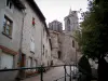 Saint-Bonnet-le-Château - Clochers de la collégiale, rue pavée en pente, arbre, arbustes, fleurs et maisons de la vieille ville