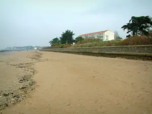 Saint-Brevin-les-Pins - Sandy beach of the seaside resort