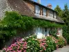 Saint-Céneri-le-Gérei - Casa de piedra de glicinas y hortensias