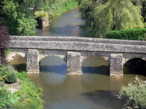 Saint-Céneri-le-Gérei - Bridge spanning the River Sarthe; in the Normandie-Maine Regional Nature Park