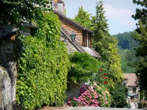 Saint-Céneri-le-Gérei - Ornamental plants and flowers (ivy, wisteria, hydrangeas, rosebush)