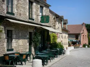 Saint-Céneri-le-Gérei - Cafetería con terraza y casas de la aldea