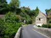 Saint-Céneri-le-Gérei - Bridge and houses of the village