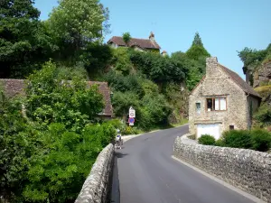 Saint-Céneri-le-Gérei - Pont et maisons du village