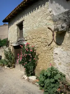 Saint-Clar - Hausfassade geschmückt mit blühenden Rosenstauden (Rosen)