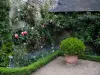 Saint-Cosme priory - Shrub in jar, flowers and climbing roses (pink roses) of the garden