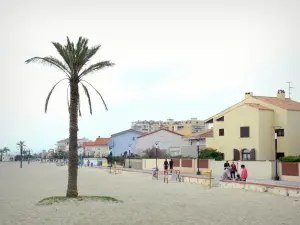 Saint-Cyprien - Sandy beach with palm trees, beach promenade and facades of the resort