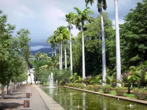 Saint-Denis - État garden with its ponds, palm trees and exotic trees
