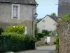 Saint-Denis-d'Anjou - Huizen in het dorp