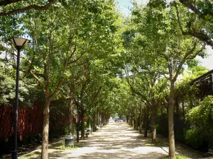 Saint-Denis-Kanal - Von Bäumen gesäumter Gehweg