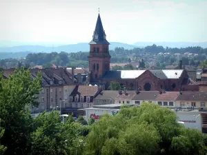 Saint-Dié-des-Vosges - Alberi, la chiesa e le case della città