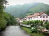 Saint-Étienne-de-Baïgorry - Houses of the village along River Nive des Aldudes in a green environment