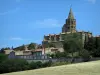 Saint-Félix-Lauragais - Collégiale (église), maisons de la bastide, arbres et champ, en Pays de Cocagne