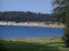 Saint-Ferréol lake - Pond, banks and trees