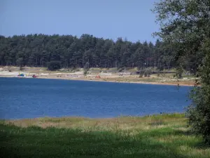 Saint-Ferréol lake - Pond, banks and trees