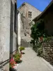 Saint-Floret - Street with flowers and facade of the castle in the background