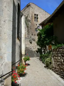 Saint-Floret - Ruelle fleurie (fleurs) et façade du château en arrière-plan