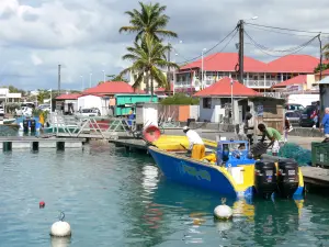 Saint-François - Port de pêche