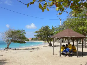 Saint-François - Pause sous un carbet de la plage des Raisins Clairs