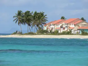 Saint-François - Residentie, omringd door kokospalmen uitzicht op de lagune Rozijnen Clairs
