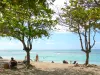 Saint-François - Raisins Clairs beach with sea grapes and lagoon views