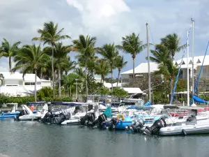 Saint-François - Cocotiers dominant les bateaux du port de plaisance