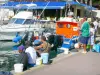 Saint-Gilles-les-Bains - Angler im Hafen 