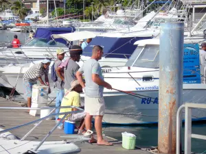 Saint-Gilles-les-Bains - Vissen in de haven