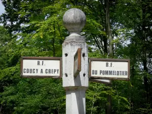 Saint-Gobain forest - Directional signs and trees in the forest