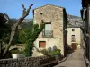 Saint-Guilhem-le-Désert - Ruelle du village médiéval bordée de maisons