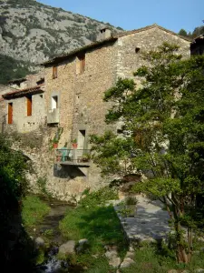 Saint-Guilhem-le-Désert - Ruisseau Verdus, maisons en pierre au bord de l'eau et arbre