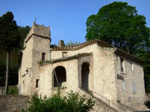 Saint-Guilhem-le-Désert - Town hall of the village