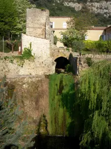 Saint-Guilhem-le-Désert - Corriente Verdus, árboles a lo largo de las aguas