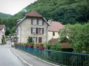 Saint-Hippolyte - Pont fleuri (fleurs), maisons de la ville et arbres