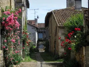 Saint-Jean-de-Côle - Ruelle du village bordée de maisons aux façades décorées de rosiers grimpants (roses)