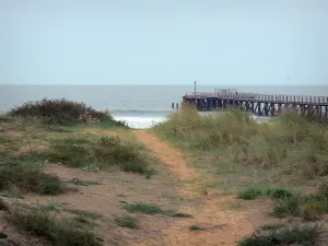 Saint-Jean-de-Monts - Seaside resort: beachgrass (psammophytes), landing stage and sea (Atlantic Ocean)