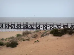 Saint-Jean-de-Monts - Seaside resort: sand, beachgrass (psammophytes), landing stage and sea (Atlantic Ocean)