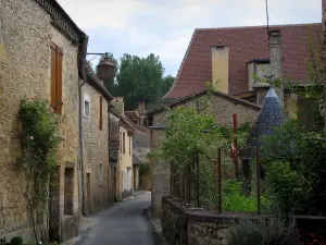 Saint-Léon-sur-Vézère - Lane y casas en la aldea, en el Périgord