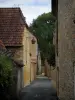 Saint-Leon-sur-Vezere - Beco alinhado com casas de pedra, no Périgord