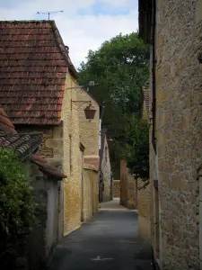 Saint-Léon-sur-Vézère - Narrow street lined with stone houses, in Périgord