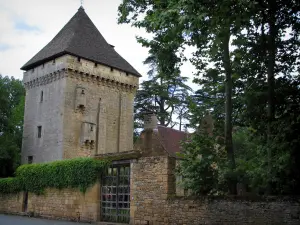 Saint-Léon-sur-Vézère - Dungeon van het landgoed van de Salle, in de Perigord