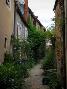 Saint-Léon-sur-Vézère - Estrecho callejón llena de plantas y las casas, en el Périgord