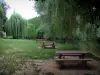 Saint-Léon-sur-Vézère - Rive (berge) avec des tables de pique-nique, rivière (la Vézère) et arbres au bord de l'eau, en Périgord